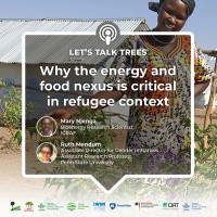 Why the energy and food nexus is critical in refugee context
