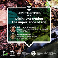 Dig it: Unearthing the importance of soil