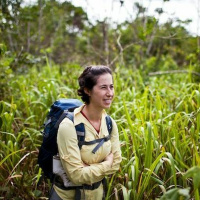 How will fire affect the Amazon forests of the future?