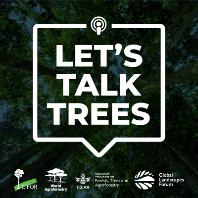 Center For International Forestry Research (cifor)