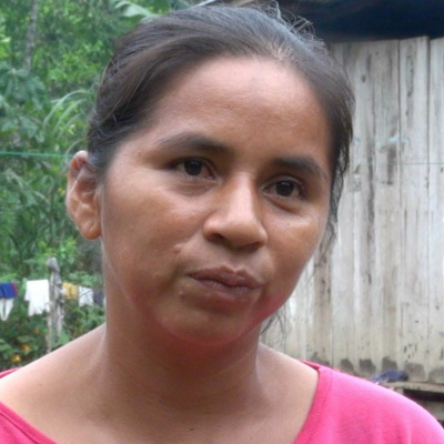 Center For International Forestry Research (cifor)