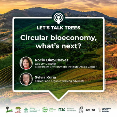 Center For International Forestry Research (cifor)