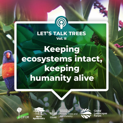 Center For International Forestry Research (cifor)