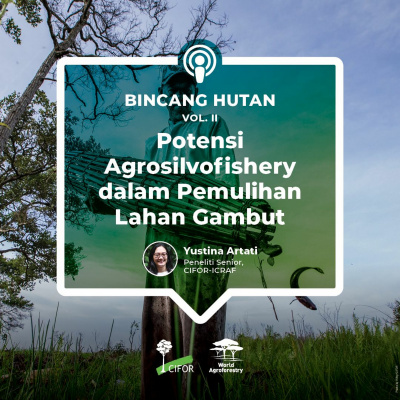 Center For International Forestry Research (cifor)