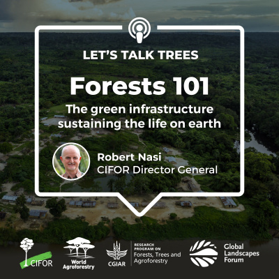 Center For International Forestry Research (cifor)