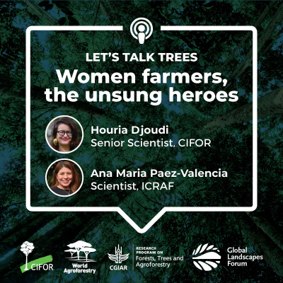 Center For International Forestry Research (cifor)