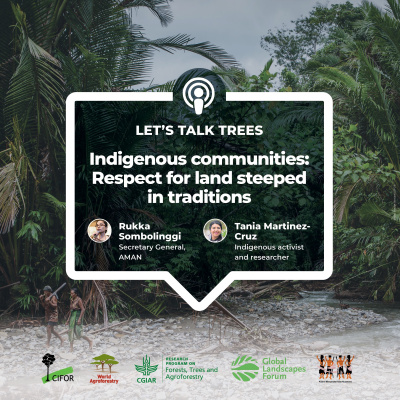 Center For International Forestry Research (cifor)