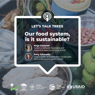 Center For International Forestry Research (cifor)