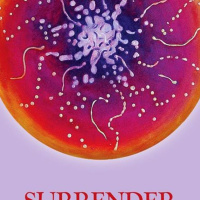 Weekly Divine Guidance for April 17th to 23rd 2017.