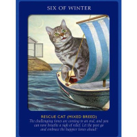 Angel Messages for March 11th to 17th: Giving Gratitude to God