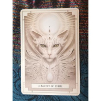 Angel Messages for 8/8 Lion’s Gate