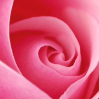 Weekly Angel Oracle Messages for August 10 through 16