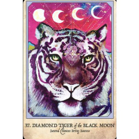 May 14th Messages for May 14th to 21st: We Are the Ones Weve Been Waiting For