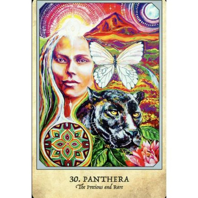 Lets Ask The Angels!