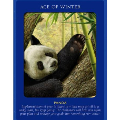 Lets Ask The Angels!