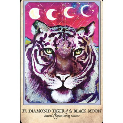 Lets Ask The Angels!