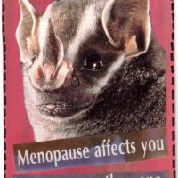 Estrogen, Menopause and Mental Health in mice, with Beth Waters