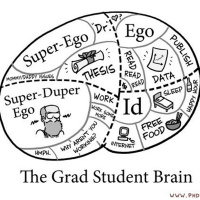 First Year in Grad School