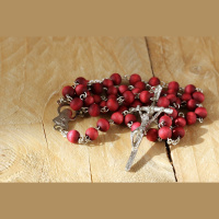 Pray the Holy Rosary with Fr. Paul Yi