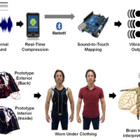 Ep. 10: David Eagleman and Sensory Substitution