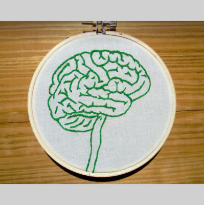Explain The Brain
