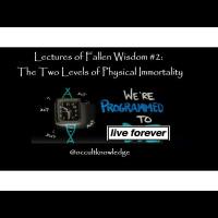 Lectures of Fallen Wisdom #2: The Two Levels of Immortality