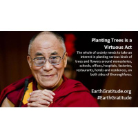 Sustainability #3. The Body/Mind/Spirit/Wallet Benefits of Living Green.