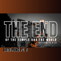 The End. Ep. 2 - Birth Pains - Pt.2