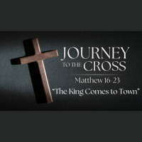 Journey to the Cross. Ep. 9 - The King Comes to Town