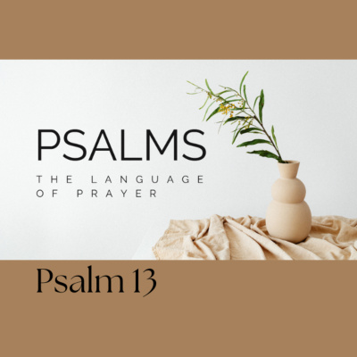 Northwest Community Church, Cary, Nc