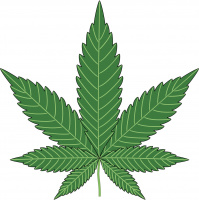 Ep 320: Cannibis and Mental Health - Whose Advice Do You Trust?