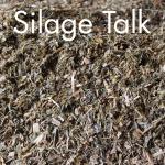 Dairy Herd Management