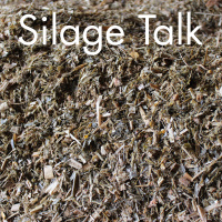 Dairy Herd Management