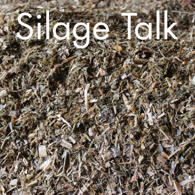 Dairy Herd Management