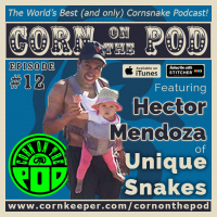 Corn on the Pod - Episode 12 - Hector Mendoza of Unique Snakes