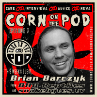 Corn on the Pod: EPISODE 7: with Brian Barczyk of BHB Reptiles and SnakeBytes TV