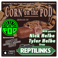 Corn on the Pod - Episode 19 with Nick  Tyler Helbe from ReptiLinks