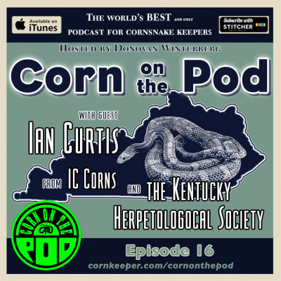 Corn On The Pod