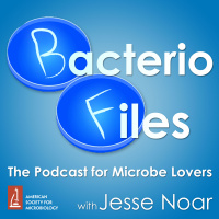 480: Bait Bottlenecks Bear Bacteria