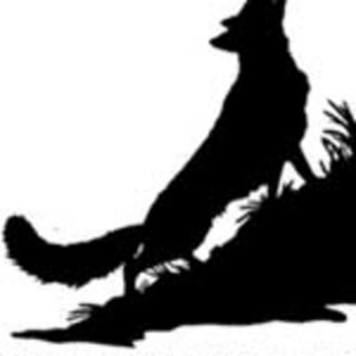 Gavin Cromwells Podcast