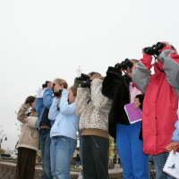 PODCAST: Take a Tour of Central Parks Feathered Friends with Birding Bob