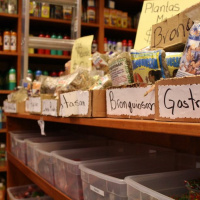 PODCAST: In herbs we trust