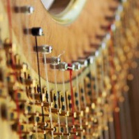 PODCAST: The harp doctor is in