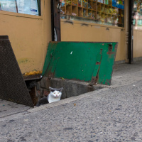 Everybody wants to help a cat