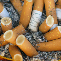 Hot or not, cigarette butts release toxins