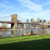 The lost and future wildlife of New York Citys East River