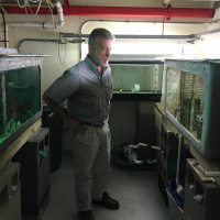 PODCAST: One mans quest to save a rare reef fish