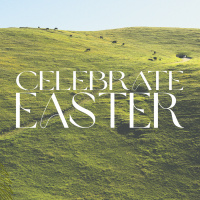 Palm Sunday | The Triumphal Entry of the King