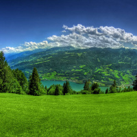 Green Pastures and Still Waters