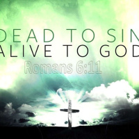Dead to Sin, Alive in Christ